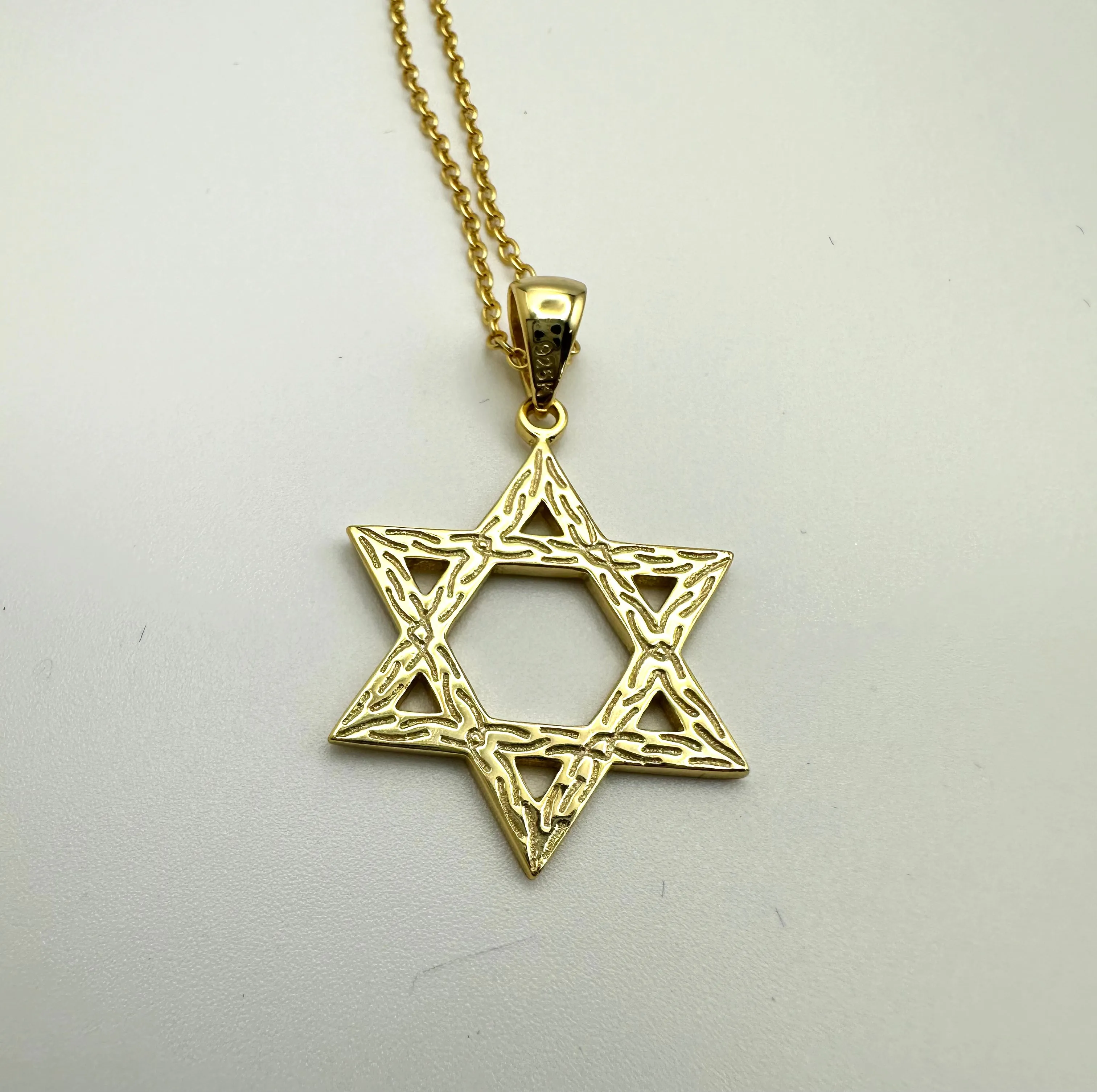 Polished Star of David Necklace