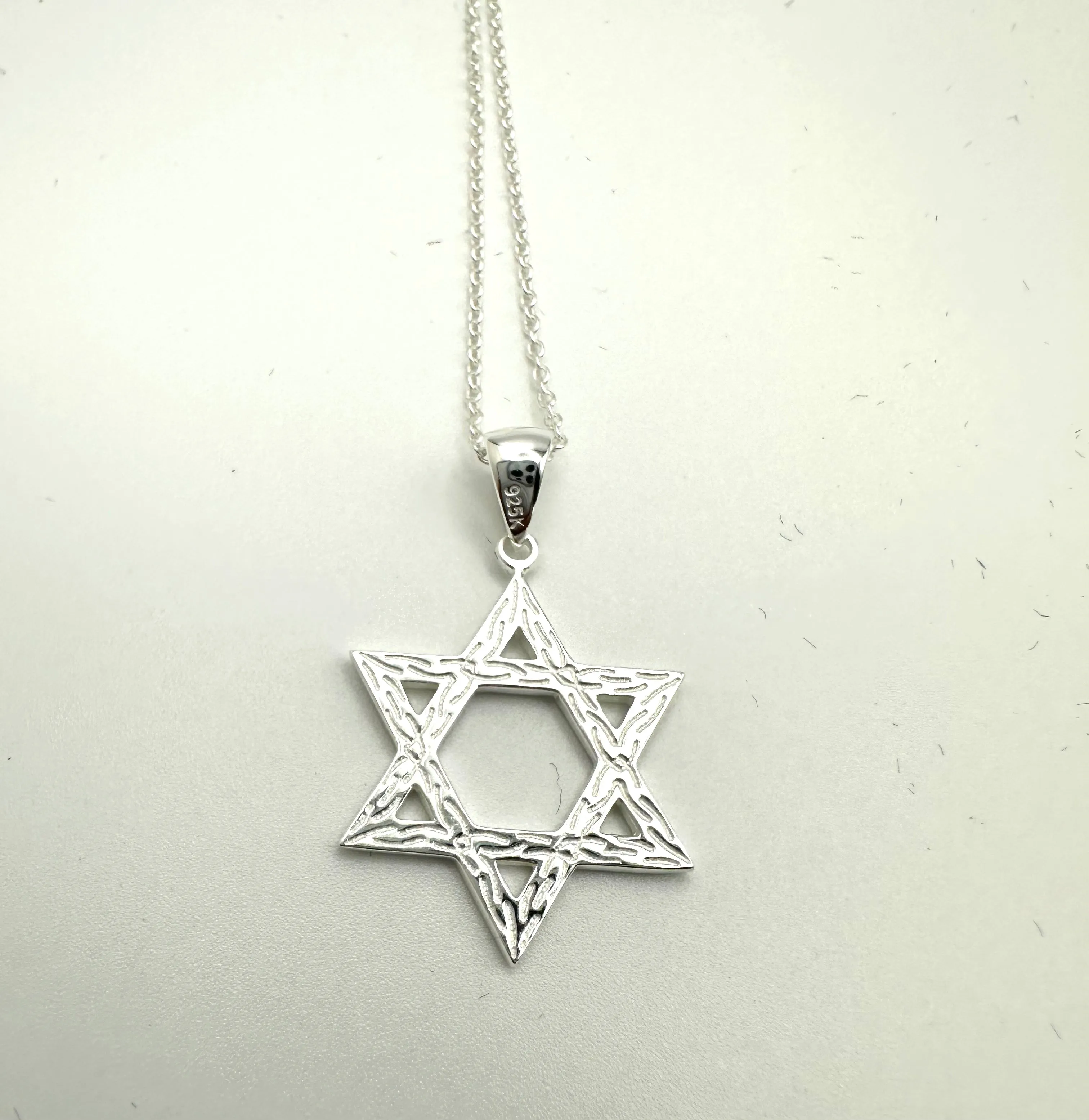 Polished Star of David Necklace