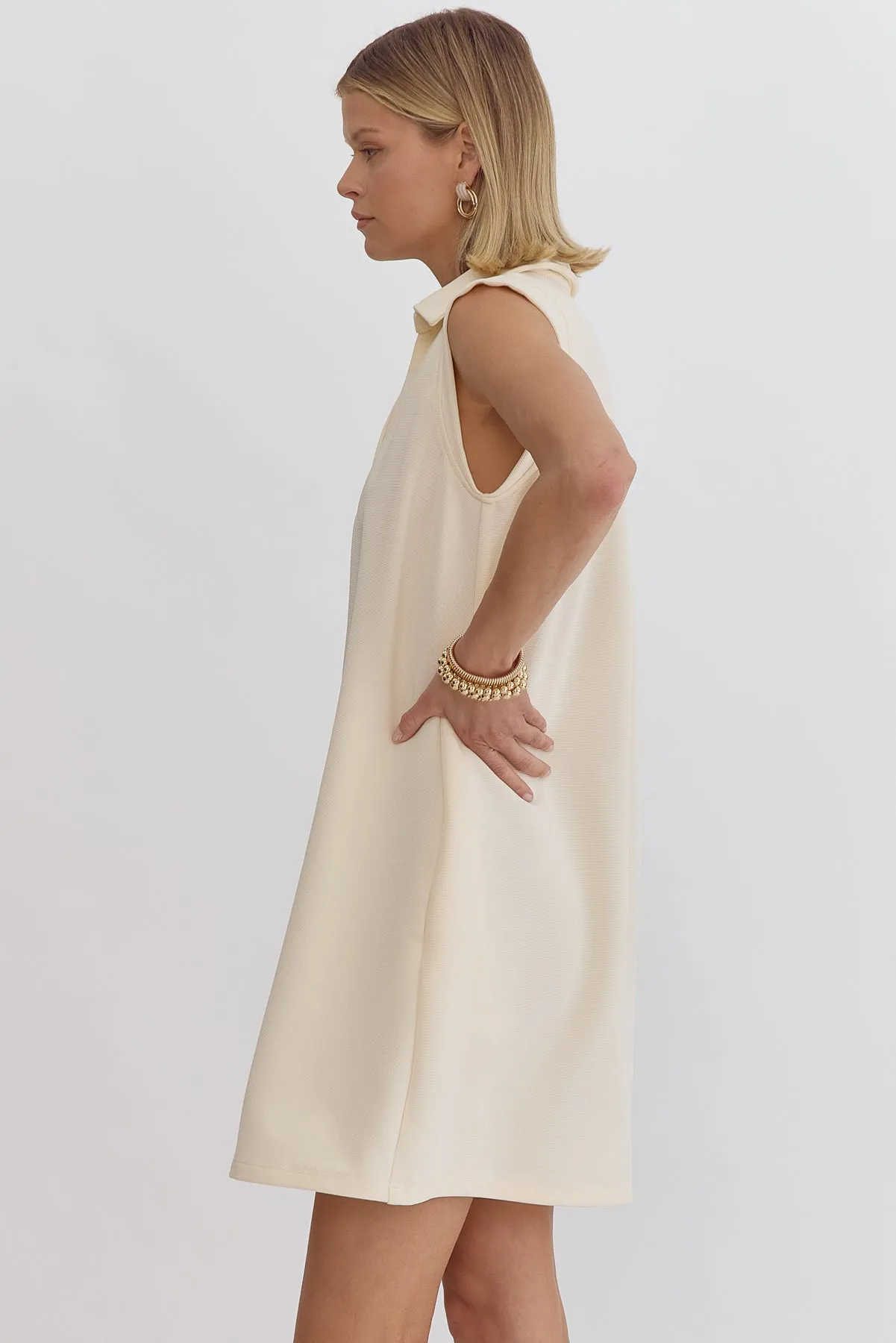 Textured Solid V Neck Collared Sleeveless Mini Dress